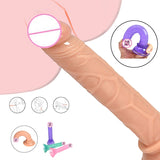 Dildos Jelly Suction Cup Female Masturbation Dildo Realistic Penis G-spot Big Anal Plug Sex Toys For Women Men Gags&muzzles