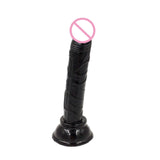 Dildos Jelly Suction Cup Female Masturbation Dildo Realistic Penis G-spot Big Anal Plug Sex Toys For Women Men Gags&muzzles